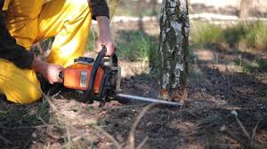 Best Commercial Tree Services  in Rockwell Place, TX